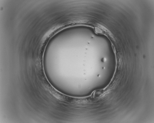 X0000070381027200606121247