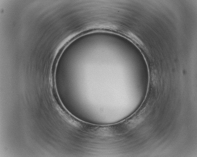 X0000070381028200606121247