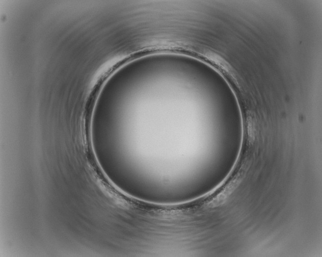 X0000070381030200606121247