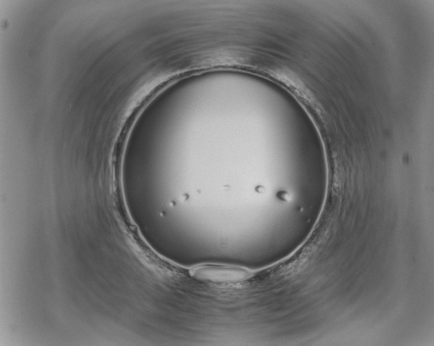 X0000070381031200606121247