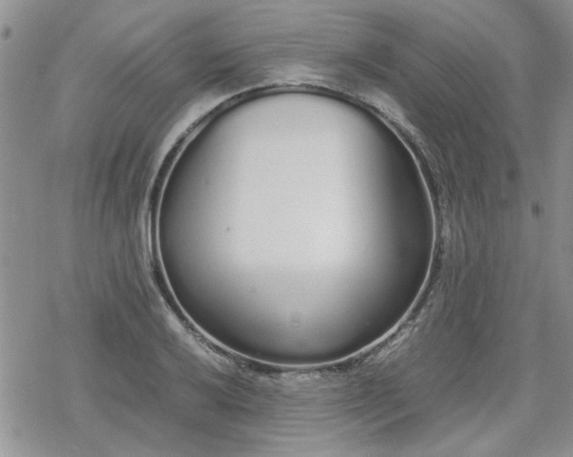 X0000070381032200606121247