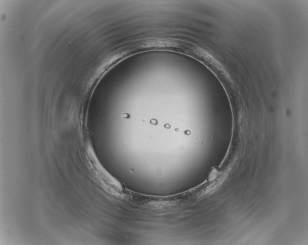 X0000070381033200606121247