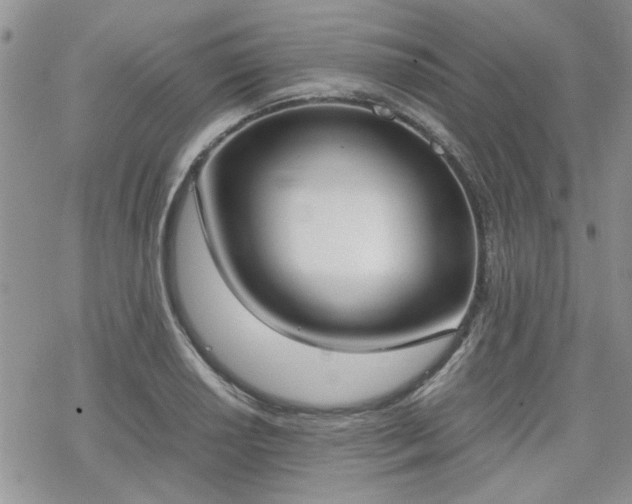 X0000070381034200606121247