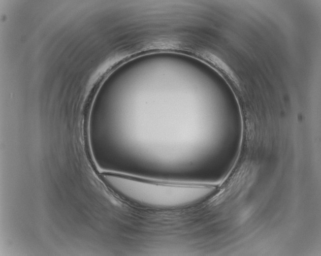 X0000070381035200606121247