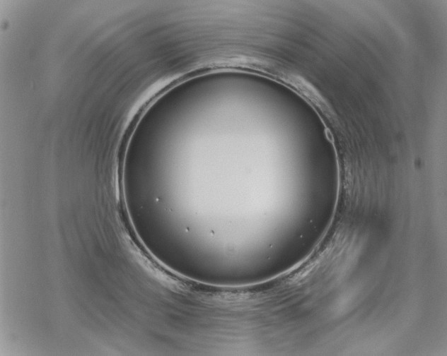 X0000070381036200606121247