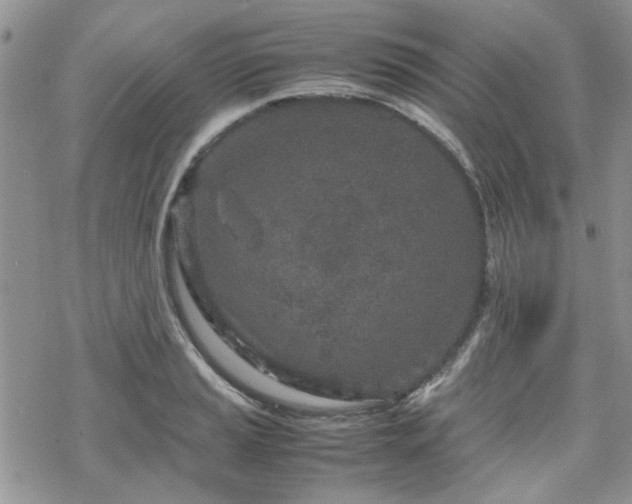 X0000070381037200606121248