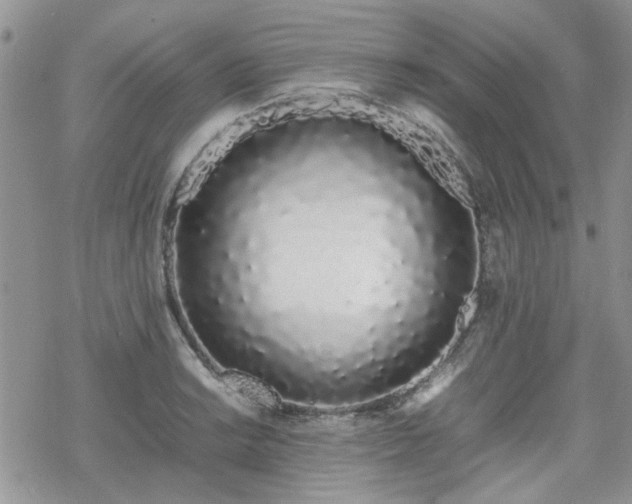 X0000070381038200606121248