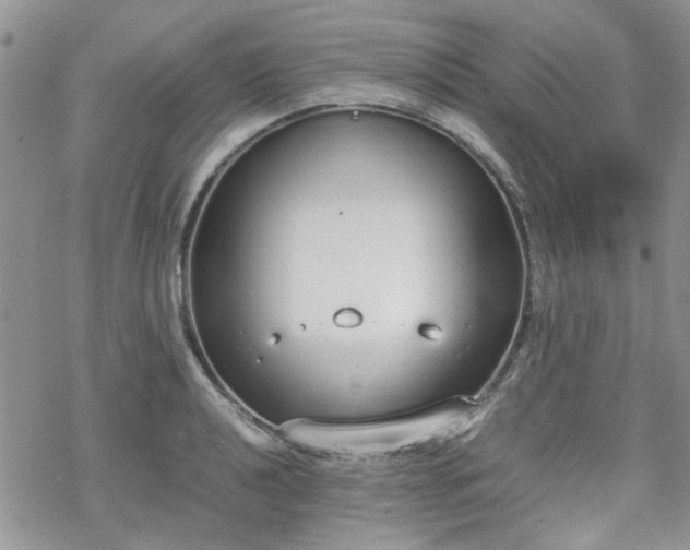 X0000070381040200606121248