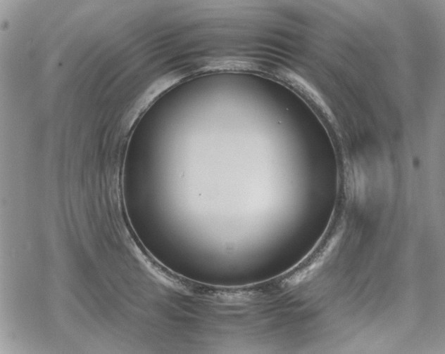 X0000070381041200606121248