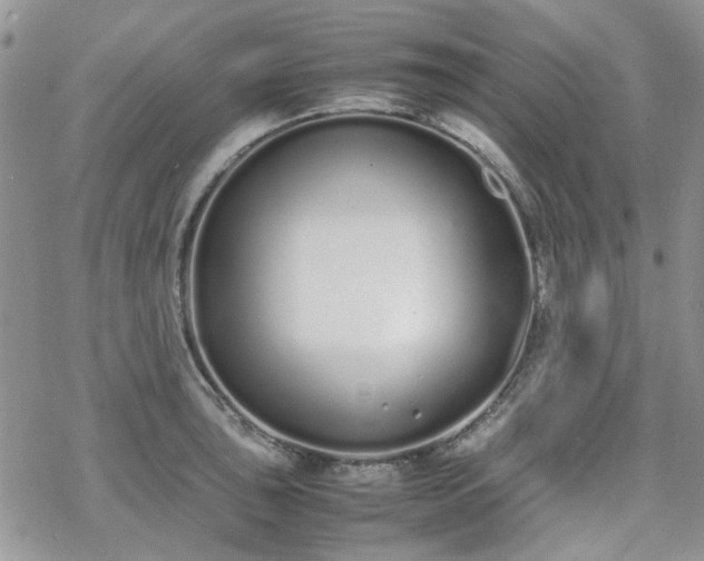 X0000070381043200606121248