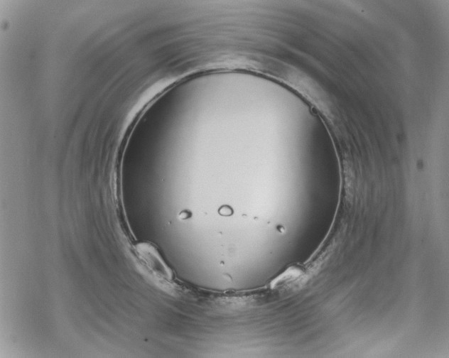 X0000070381044200606121248