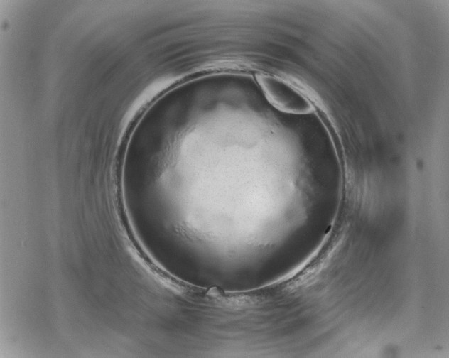 X0000070381045200606121248