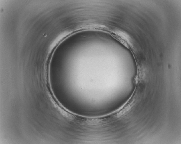 X0000070381046200606121248