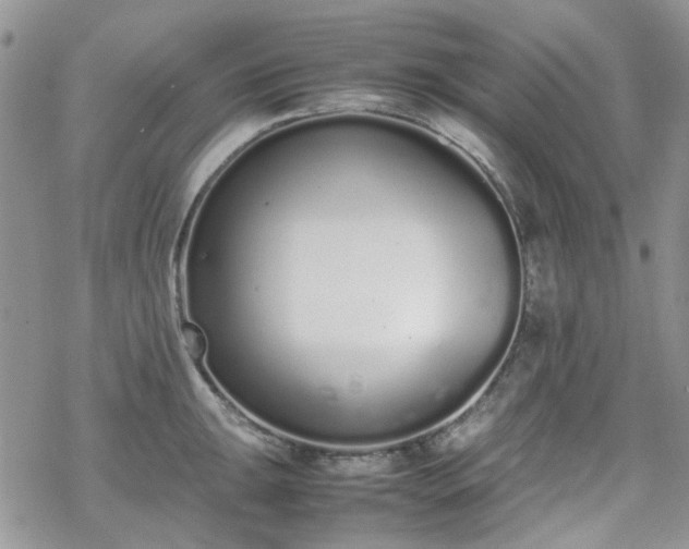 X0000070381047200606121248