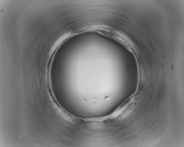 X0000070381050200606121248