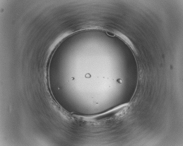 X0000070381051200606121248