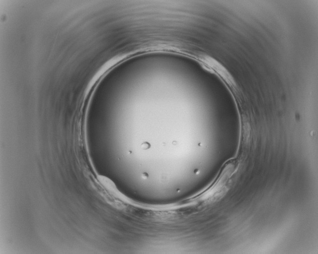 X0000070381052200606121248