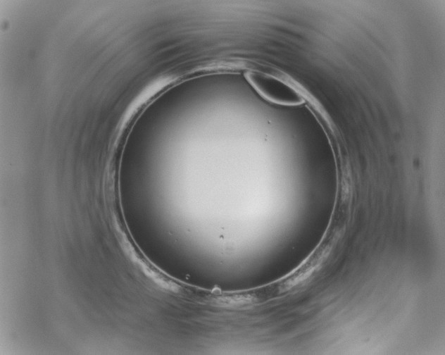 X0000070381053200606121248