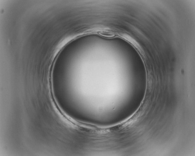 X0000070381055200606121248