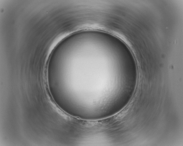 X0000070381056200606121248