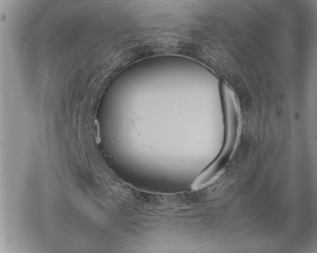 X0000070381057200606121247