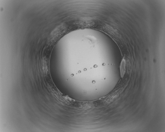 X0000070381058200606121247