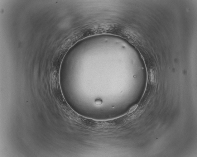 X0000070381059200606121247