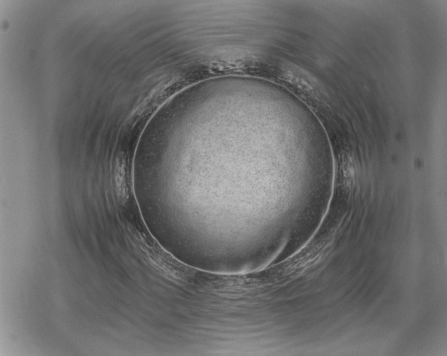 X0000070381060200606121247