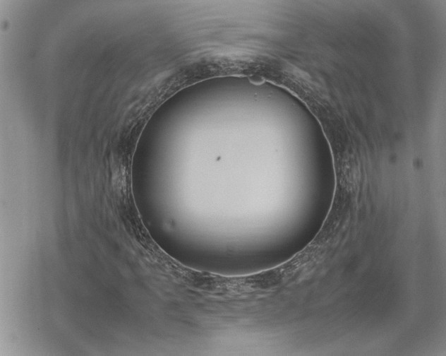 X0000070381061200606121247