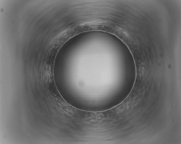 X0000070381062200606121247