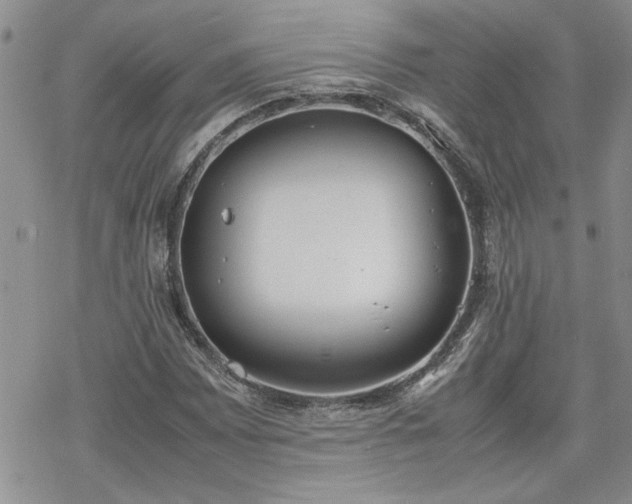 X0000070381065200606121247