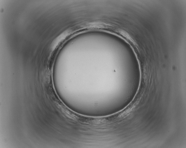 X0000070381067200606121247