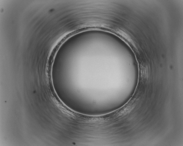 X0000070381068200606121247