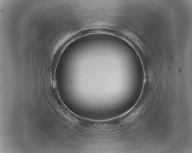 X0000070381069200606121247