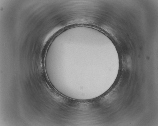 X0000070381070200606121247