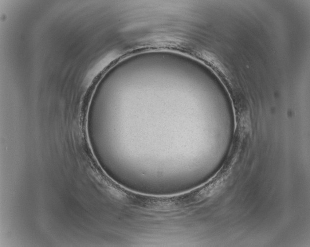 X0000070381071200606121247