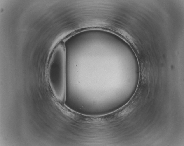 X0000070381072200606121247