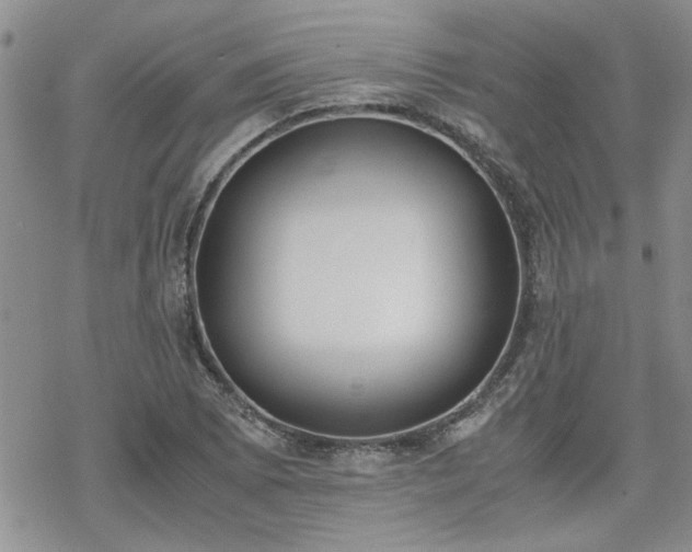 X0000070381073200606121247