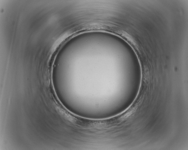 X0000070381075200606121247