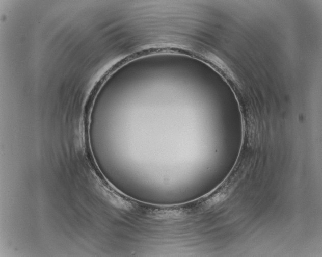 X0000070381076200606121247