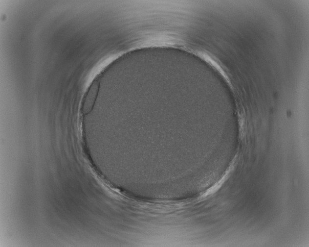 X0000070381077200606121247