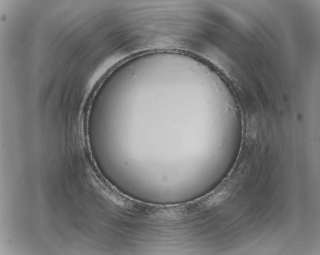 X0000070381078200606121247