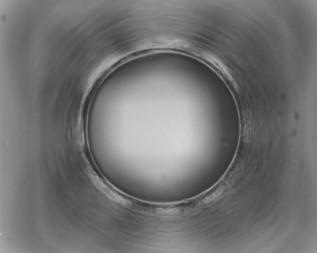 X0000070381080200606121247