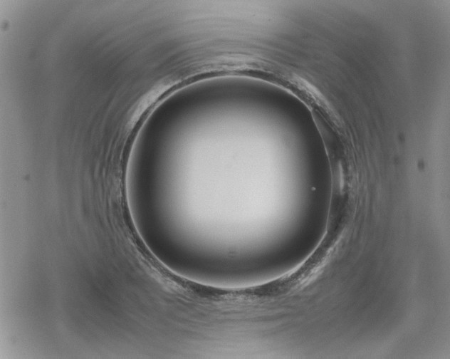 X0000070381081200606121247