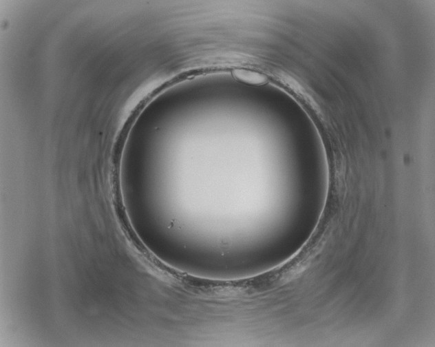 X0000070381085200606121247