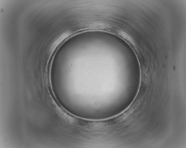 X0000070381087200606121247