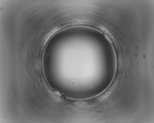 X0000070381089200606121247