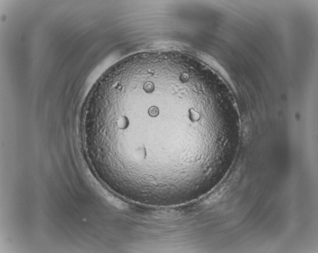 X0000070381091200606121246