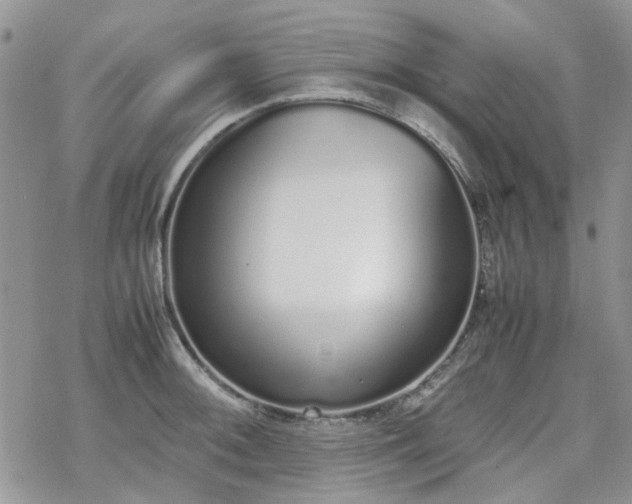 X0000070381092200606121246