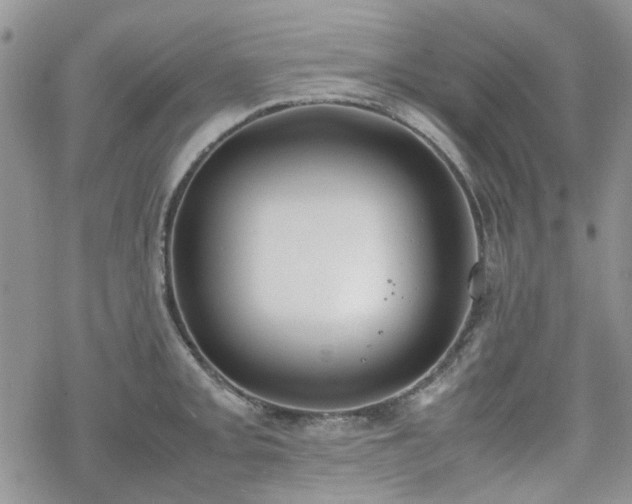 X0000070381093200606121246